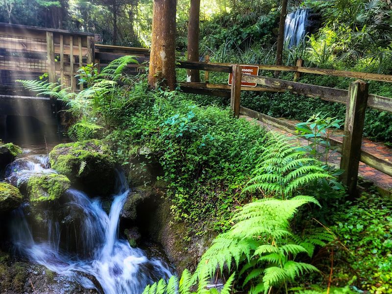 The Park Has A Surprisingly Rich History The Park Has A Surprisingly Rich History