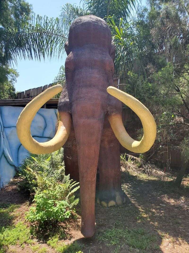 Fossil Digging Lets Kids Unearth Their Inner Paleontologist