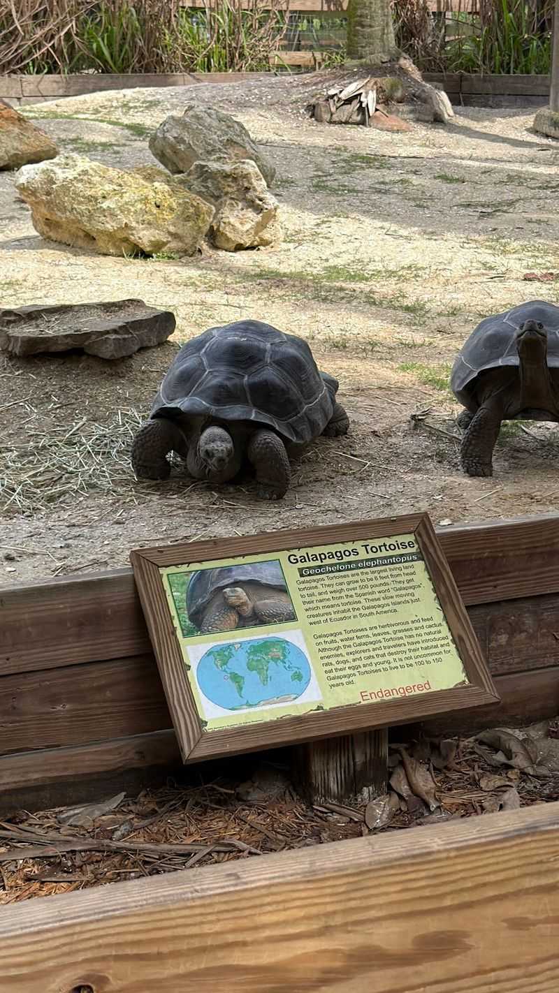 The Park Is Home To Rare And Endangered Species From Around The World The Park Is Home To Rare And Endangered Species From Around The World