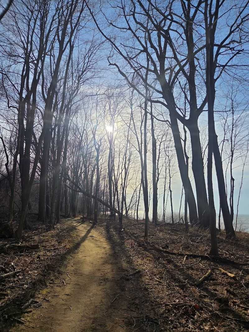 Trail Options Range From Easy Strolls to Challenging Descents