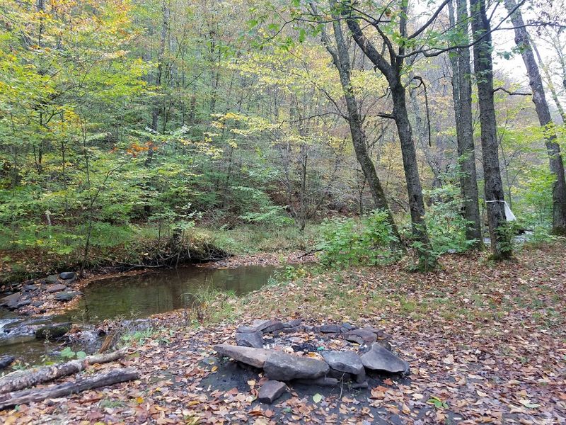 Primitive Camping Has Been Part of the Park's Identity