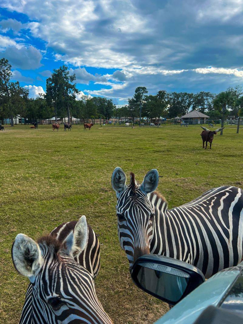 The Park Is Open Six Days A Week With Extended Weekend Hours The Park Is Open Six Days A Week With Extended Weekend Hours