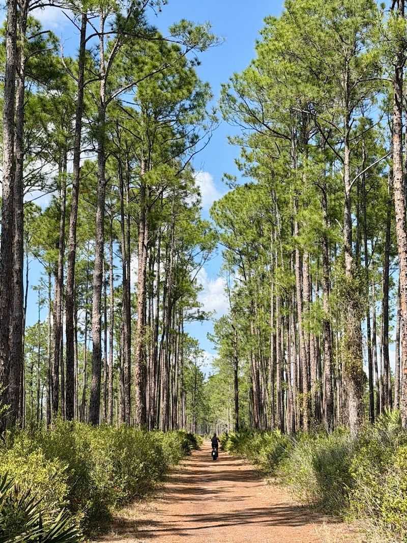 Visiting Practical Tips Every First-Timer Should Know