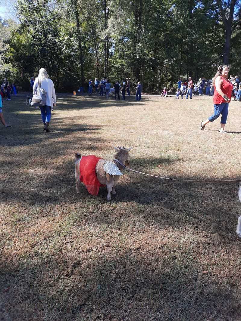 The Park Keeps The Festival Easygoing