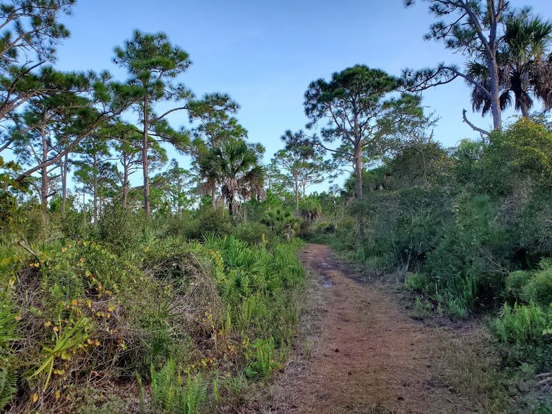 Kayaking Here Offers Routes For Every Skill Level