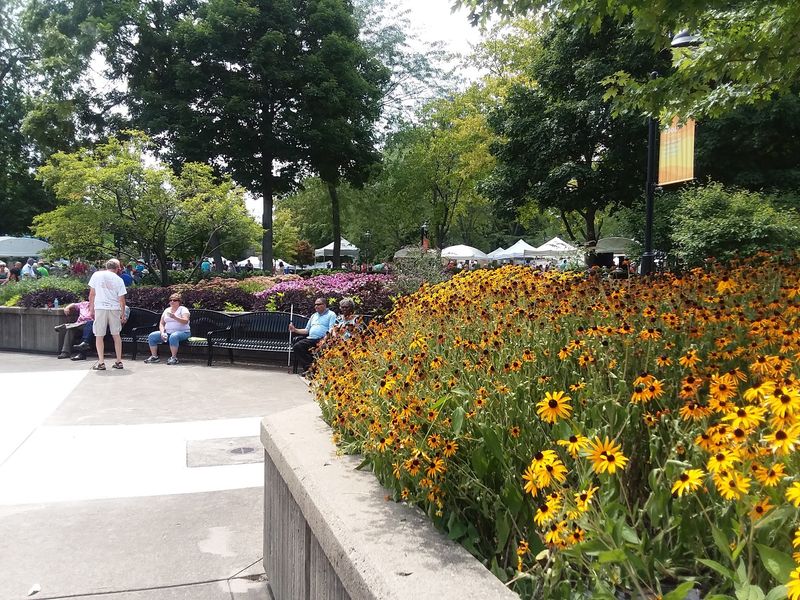 The Park Setting That Surrounds Everything