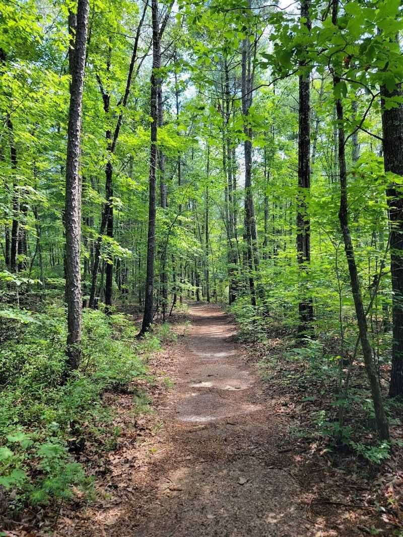 The Park Sits Inside Cherokee History