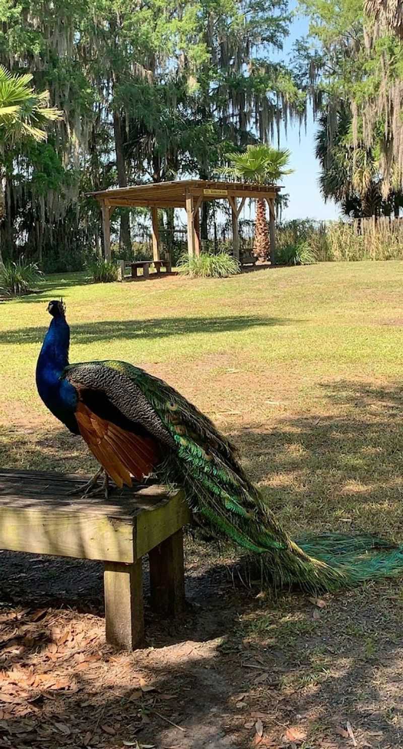 The Park Sits Inside Florida's Untouched Natural Landscape Near Kenansville