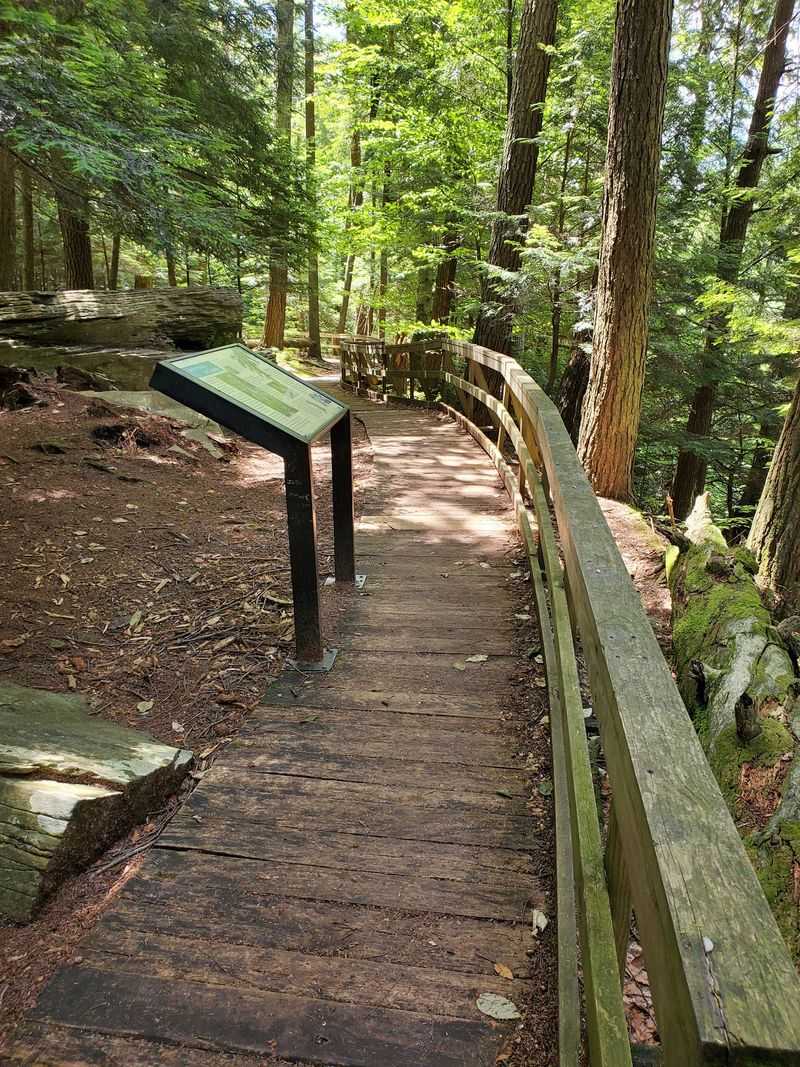 The Park Sits On Over 400 Acres Of Forest In Susquehanna County