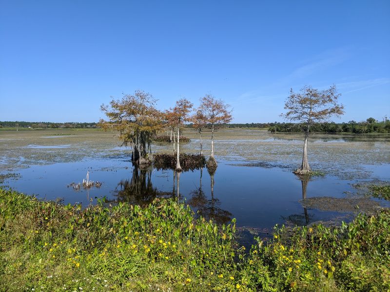 The Park Spans Over 1,600 Acres Of Protected Wetlands