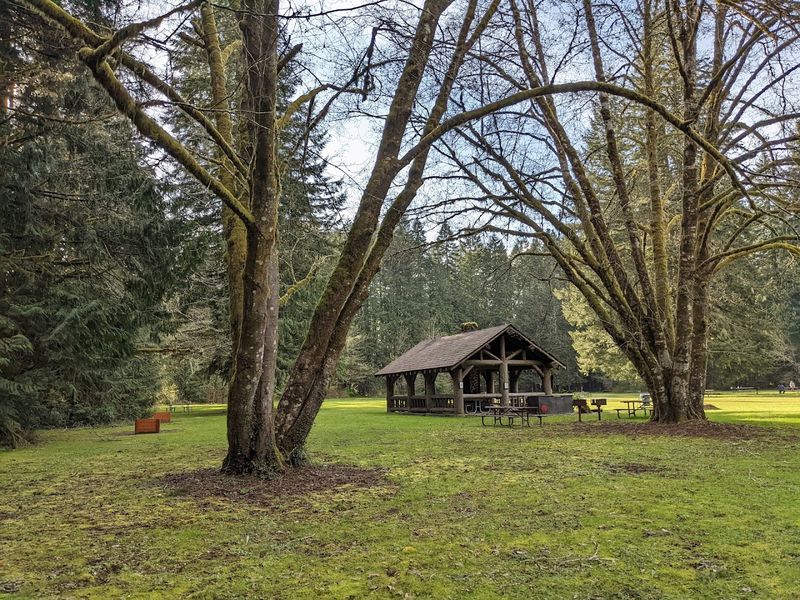 The Park That Time Built: History And Origins