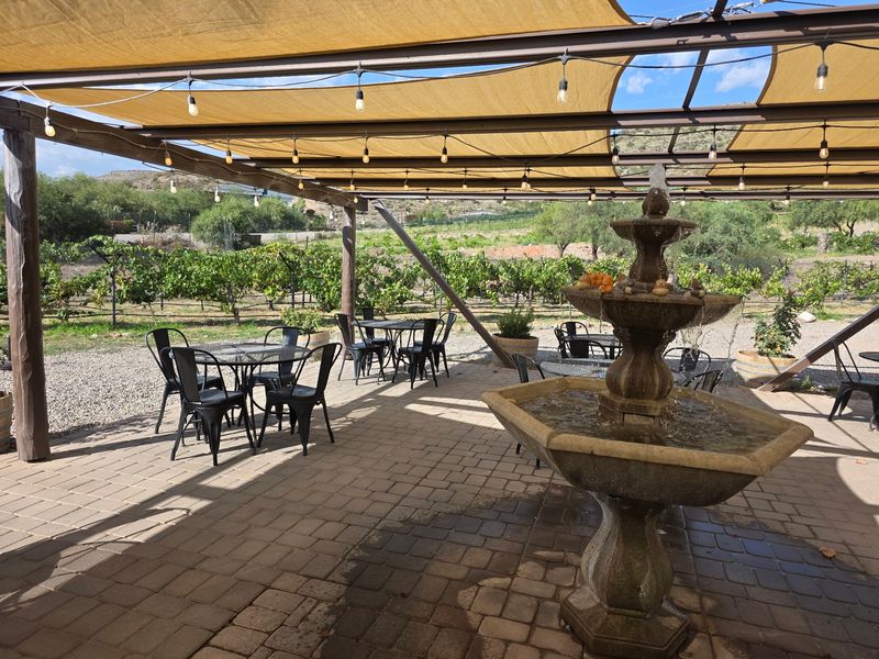The Patio Everyone Talks About The Patio Everyone Talks About