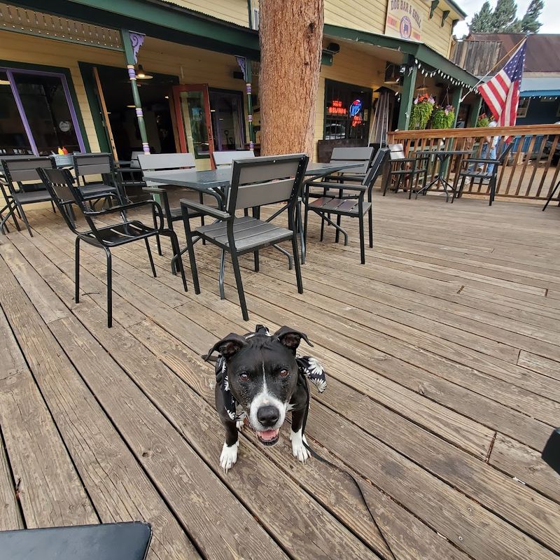 The Patio Experience That Keeps People Returning