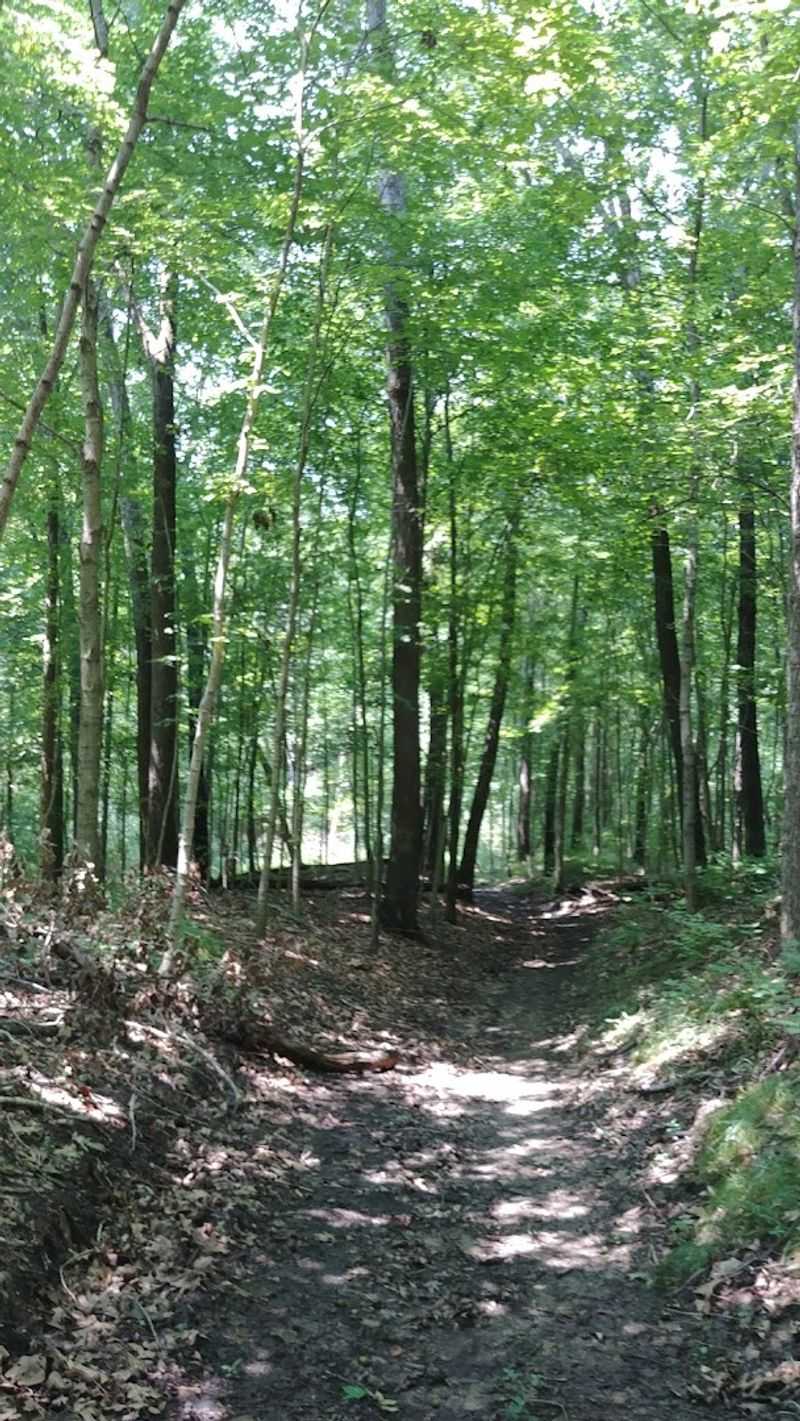 Practical Tips For Getting The Most From Your Visit