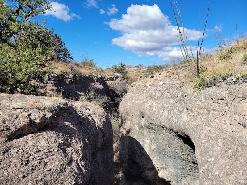 Hiking Trails Built For Curious Explorers