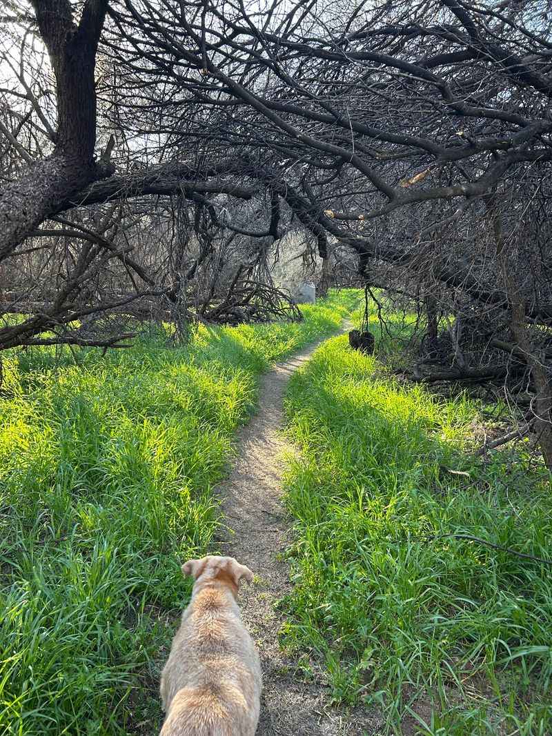 The Peaceful Mood That Slows You Down The Peaceful Mood That Slows You Down