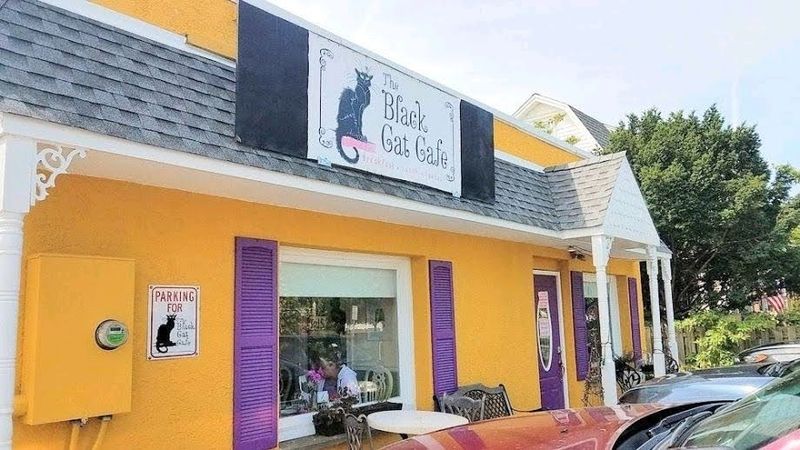 The Black Cat Cafe (Devon)