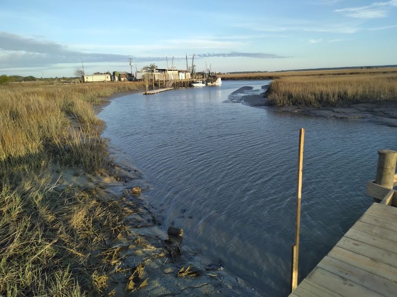 The Perfect Pairing With Hunting Island State Park