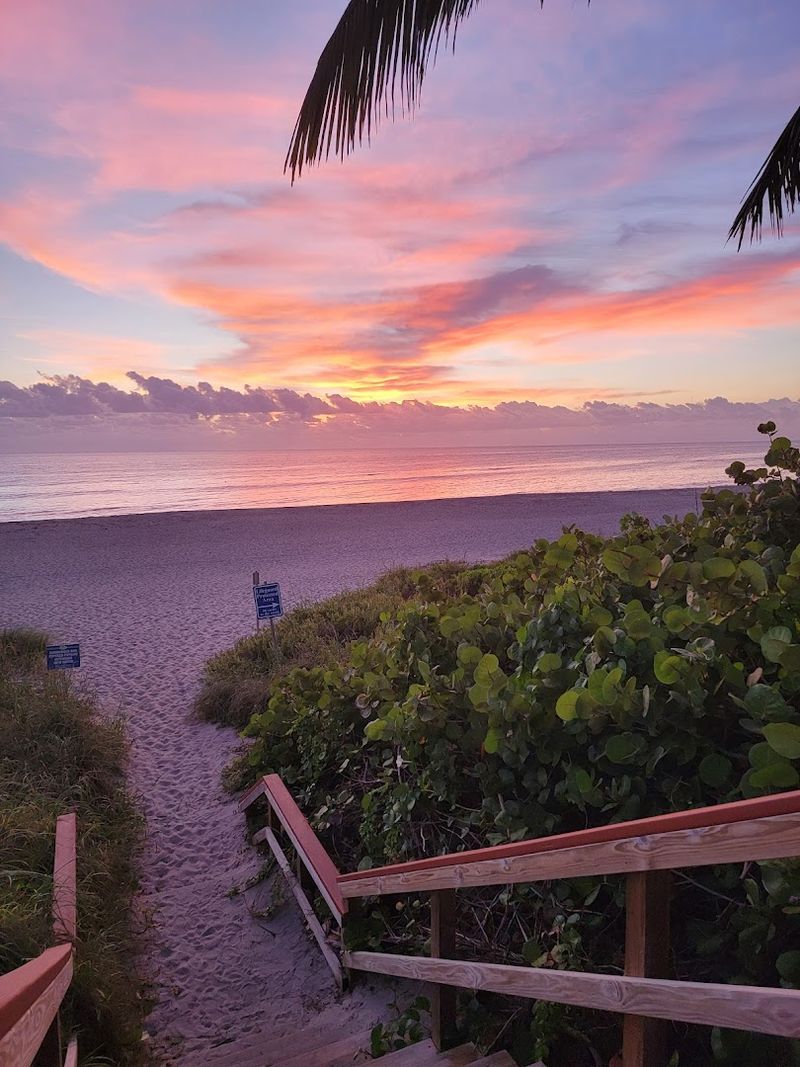 Incredible Shelling That Rivals Any Gulf Coast Beach