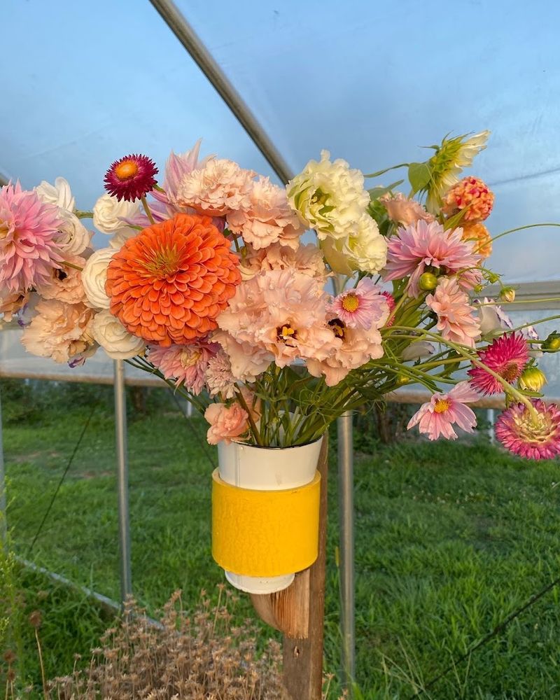 Where the Farm Is Located and How to Find It