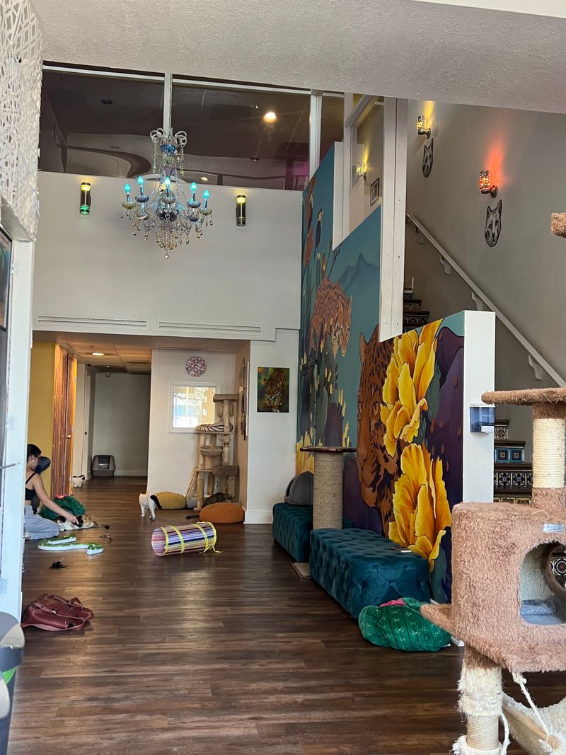 Events and Special Experiences