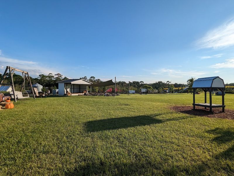 The Petting Zoo And Animal Encounters