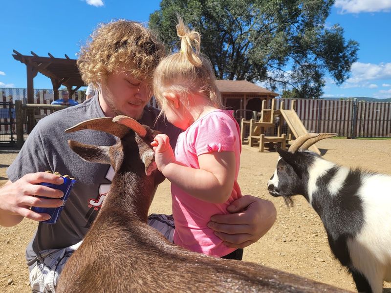 The Petting Zoo Section Wins Over Every Age Group