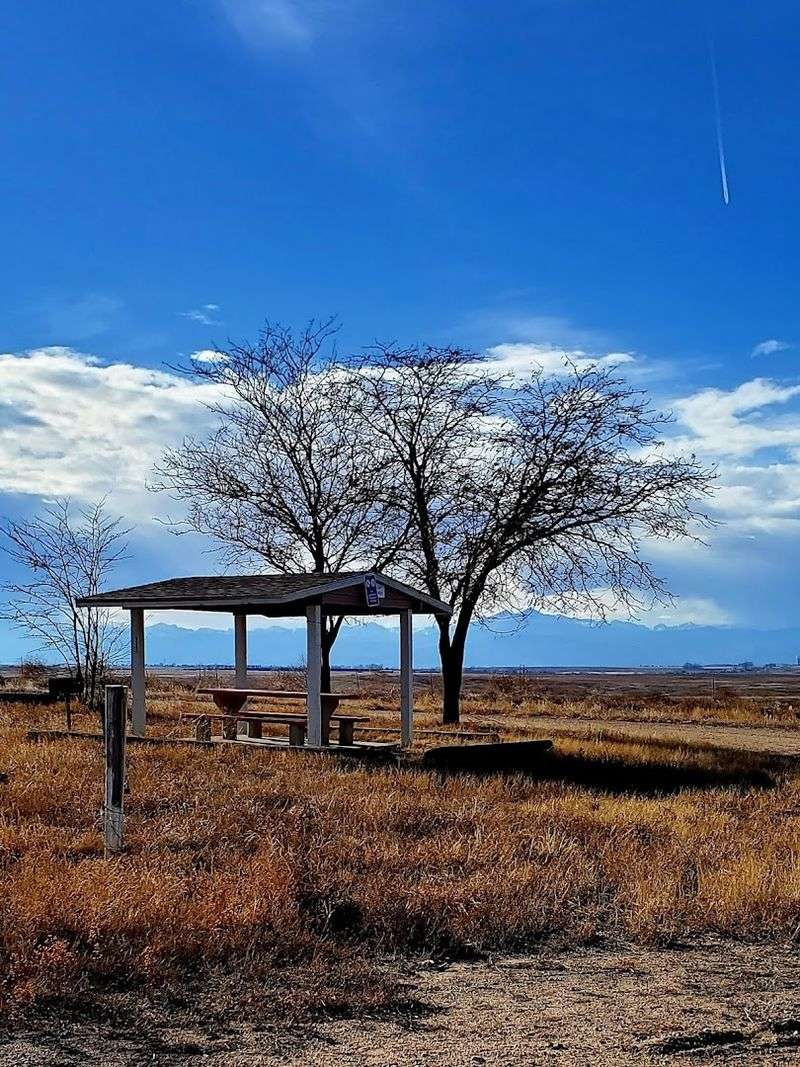 Who This Place Is For and Who Should Skip It