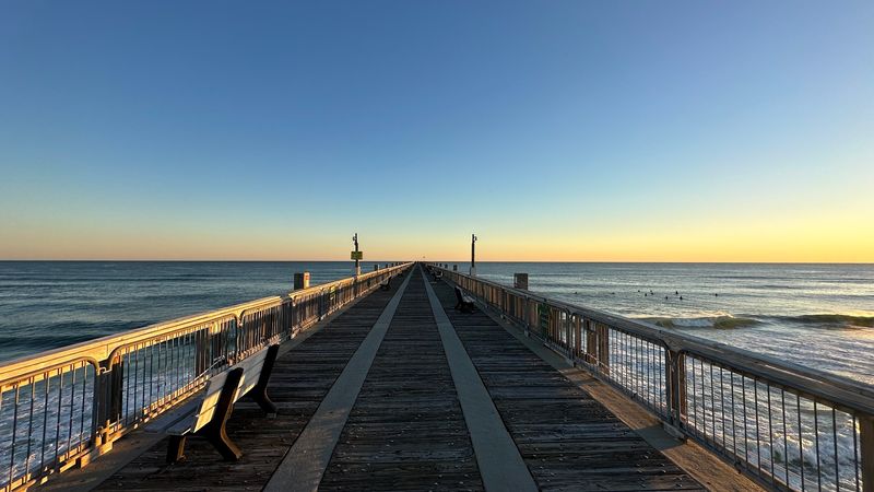 The Pier Experience And The Wildlife You Might Spot