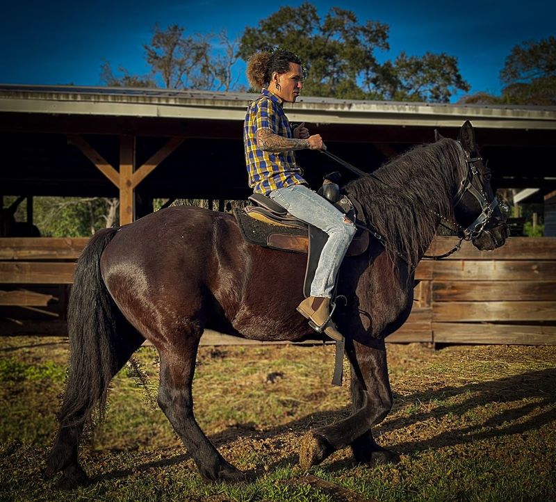 Rescue Roots And Horse Care