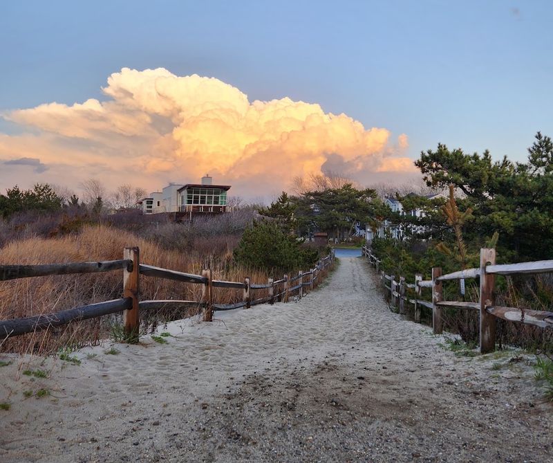 The Pine Tunnel Path That Changes Everything The Pine Tunnel Path That Changes Everything