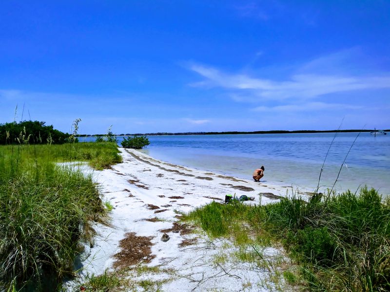 Honeymoon Island State Park: Wild Gulf Magic
