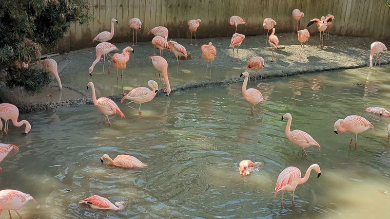 The Pink Moment You Did Not Know You Needed