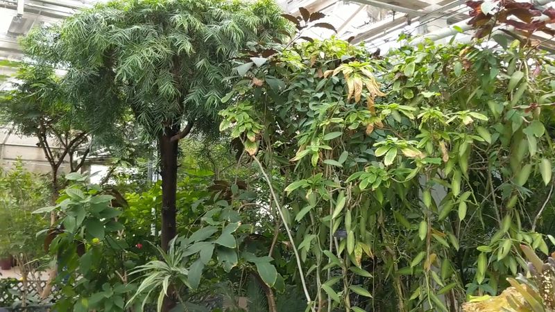 The Pioneer Of Bug Zoos Is An Easy Drive Away