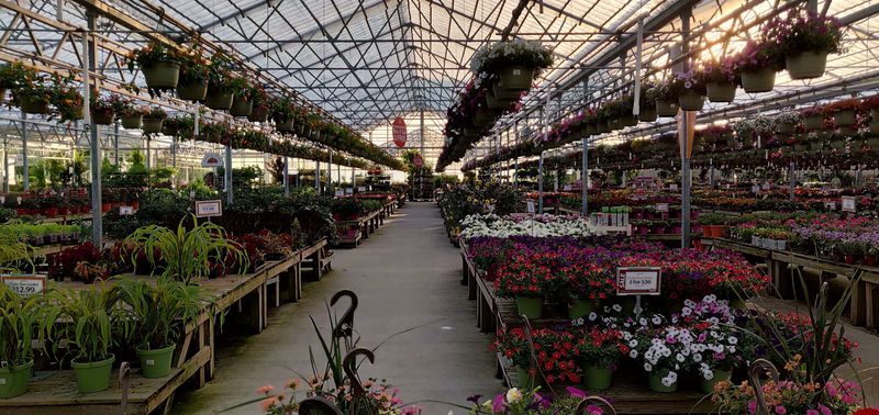 The Plant Selection Is Genuinely Jaw-Dropping