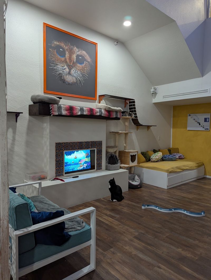 The Playful Kitten Room Upstairs