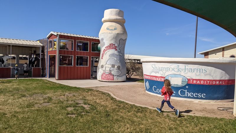 The Playground And Picnic Spots For Little Ones