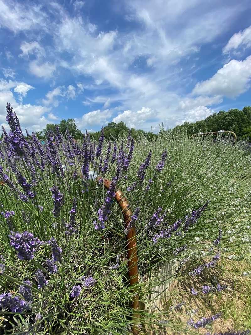 Why This Place Keeps People Coming Back