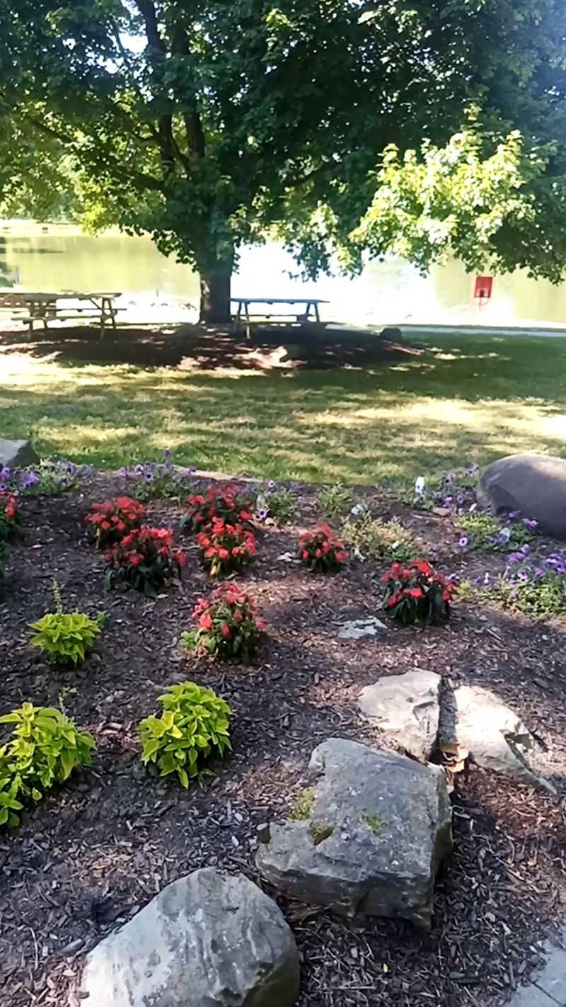 The Pond, The Geese, And Feeding The Catfish