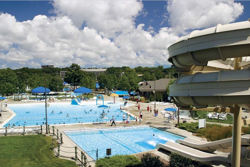 The Pool Everyone Can Use The Pool Everyone Can Use