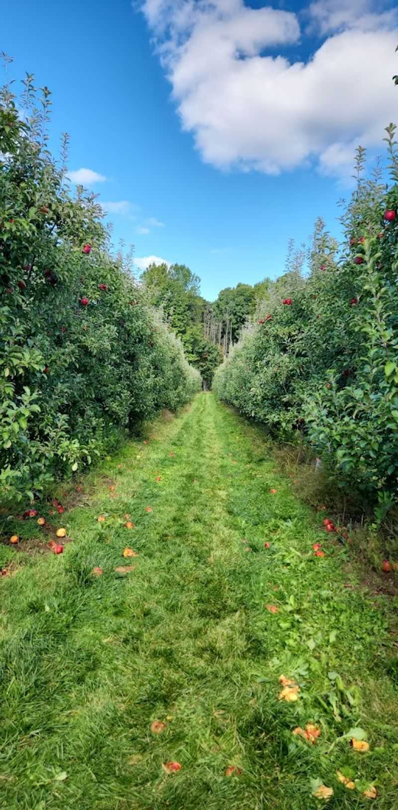 The Farm's Location Makes The Experience Extra Special