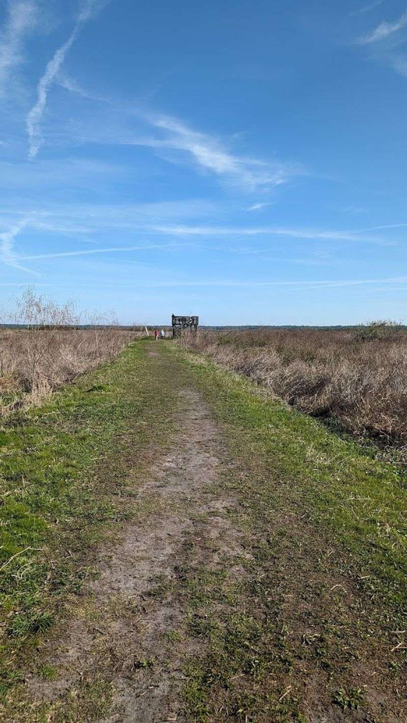 The Observation Tower Gives You A Bird's-Eye View Of The Action