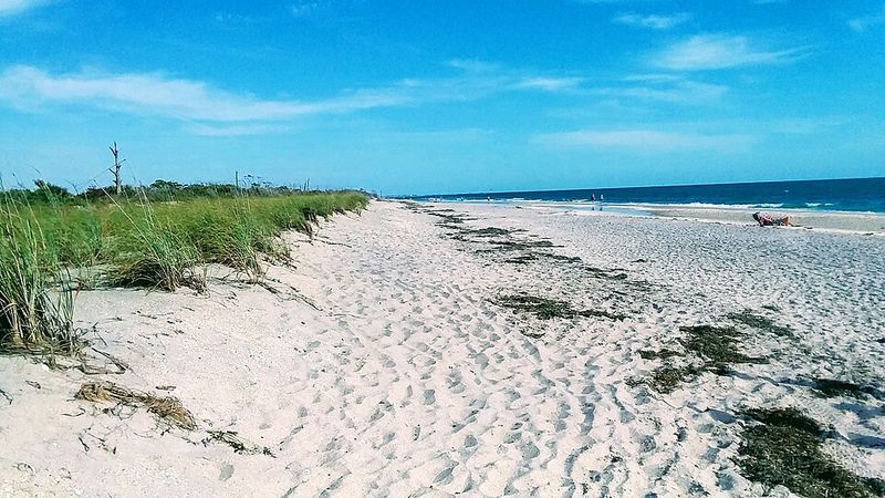 The Best Time To Hunt For Shark Teeth At Stump Pass