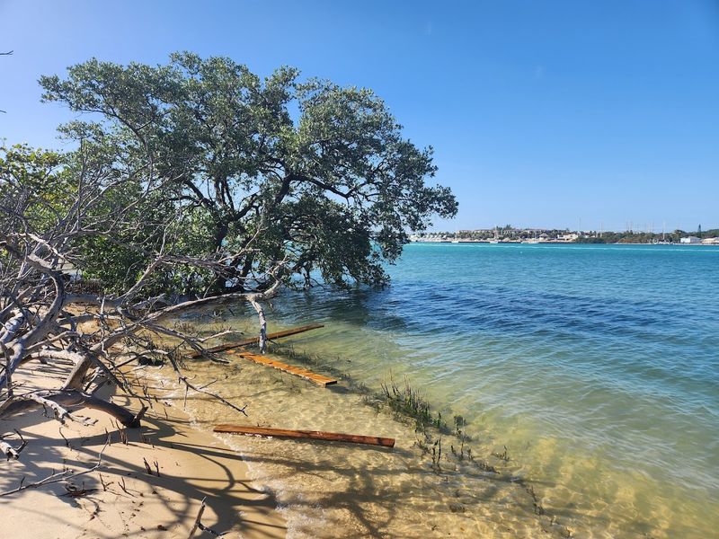 The Preserve Covers 73 Acres Of Protected Natural Habitat The Preserve Covers 73 Acres Of Protected Natural Habitat