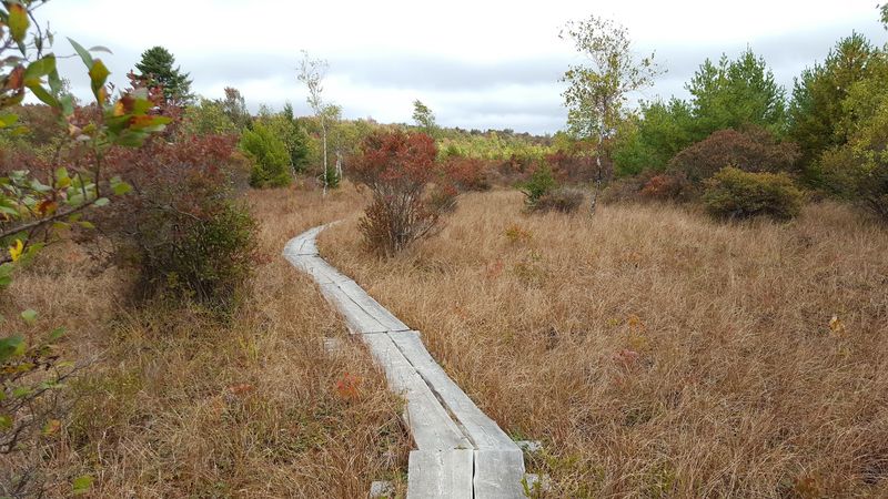 The Preserve Is Open Every Day With Consistent Hours The Preserve Is Open Every Day With Consistent Hours
