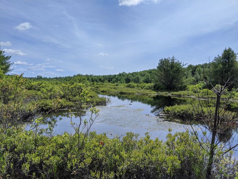 The Preserve Protects 2,500 Acres Of Rare Glacial Wetlands The Preserve Protects 2,500 Acres Of Rare Glacial Wetlands