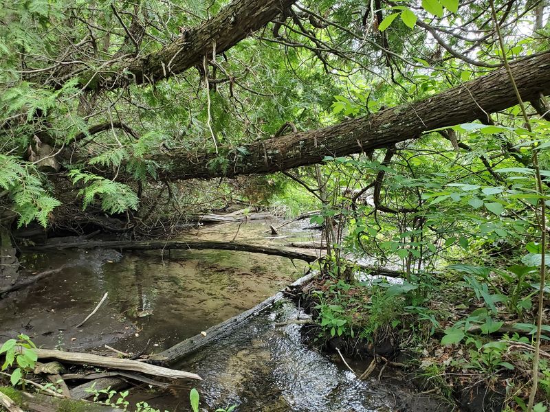 The Preserve With A Prehistoric Past