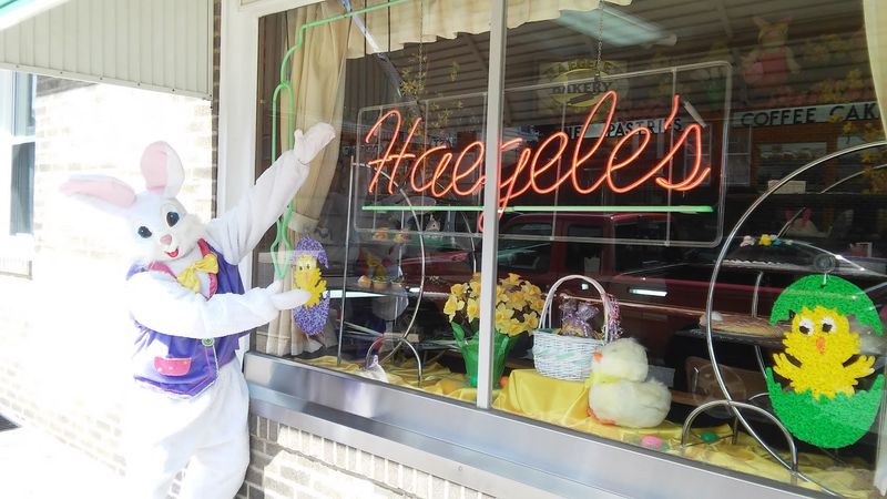 Operating Hours and What to Know Before You Go