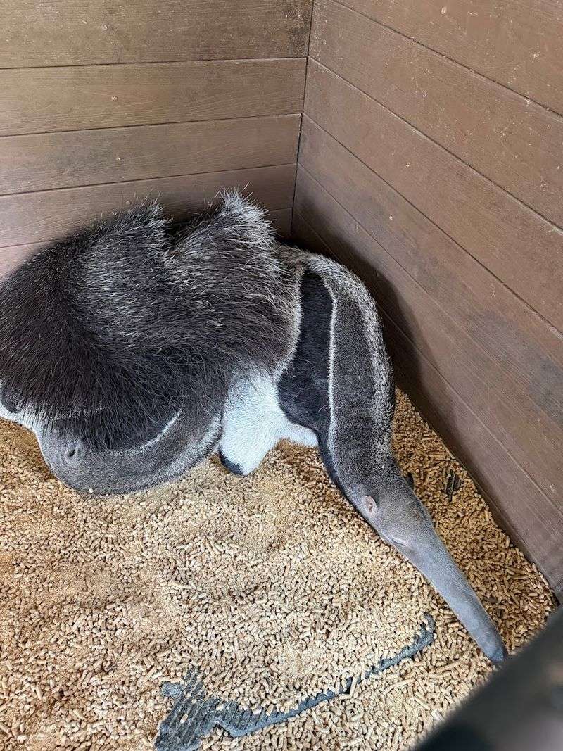 Repeat Visitors Keep Coming Back, And That Says Everything