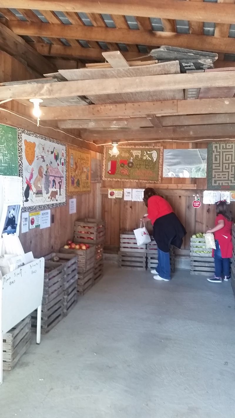 The Produce Market Behind It All